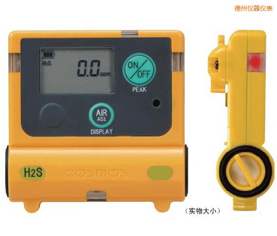 德州硫化氫計(jì)