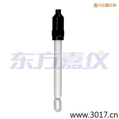 嘉興玻璃外殼無溫補(bǔ)兩線電導(dǎo)率電極