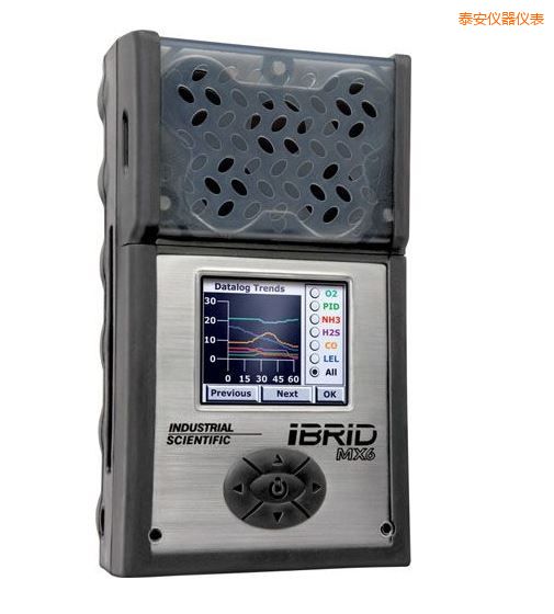 泰安復(fù)合式6氣體檢測儀