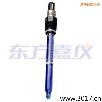 威海測(cè)純水,超純水 PH電極