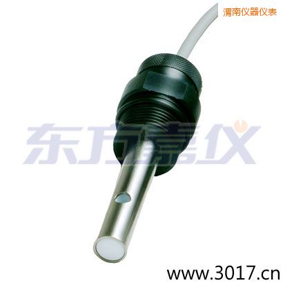 渭南含有溫度兩線(xiàn)電導(dǎo)率電極