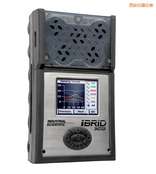 西安復(fù)合式6氣體檢測儀