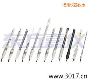 揚州pH電極