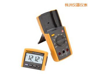 株洲遠(yuǎn)程顯示數(shù)字萬(多)用表