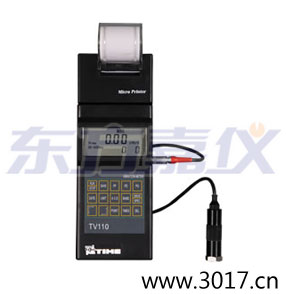 時代便攜式測振儀